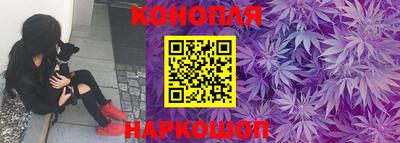 крисы Будённовск