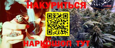 крисы Будённовск