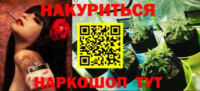 крисы Будённовск