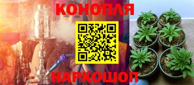 крисы Будённовск