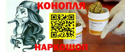 крисы Будённовск